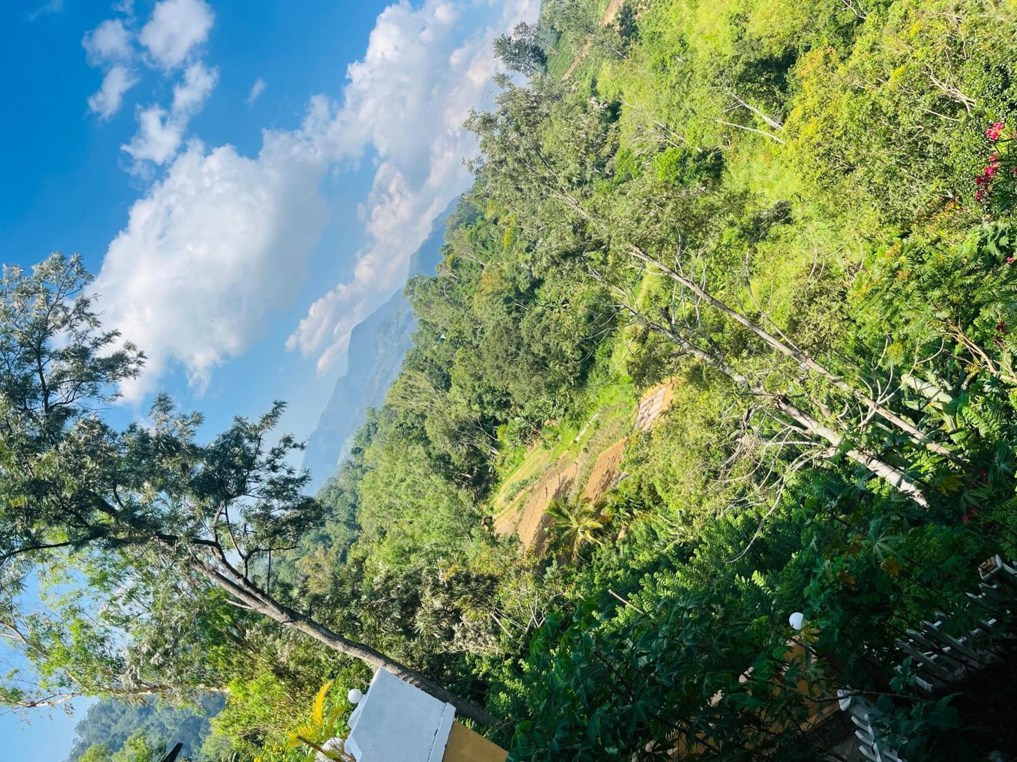 Viyanga Homestay Ella Exterior photo