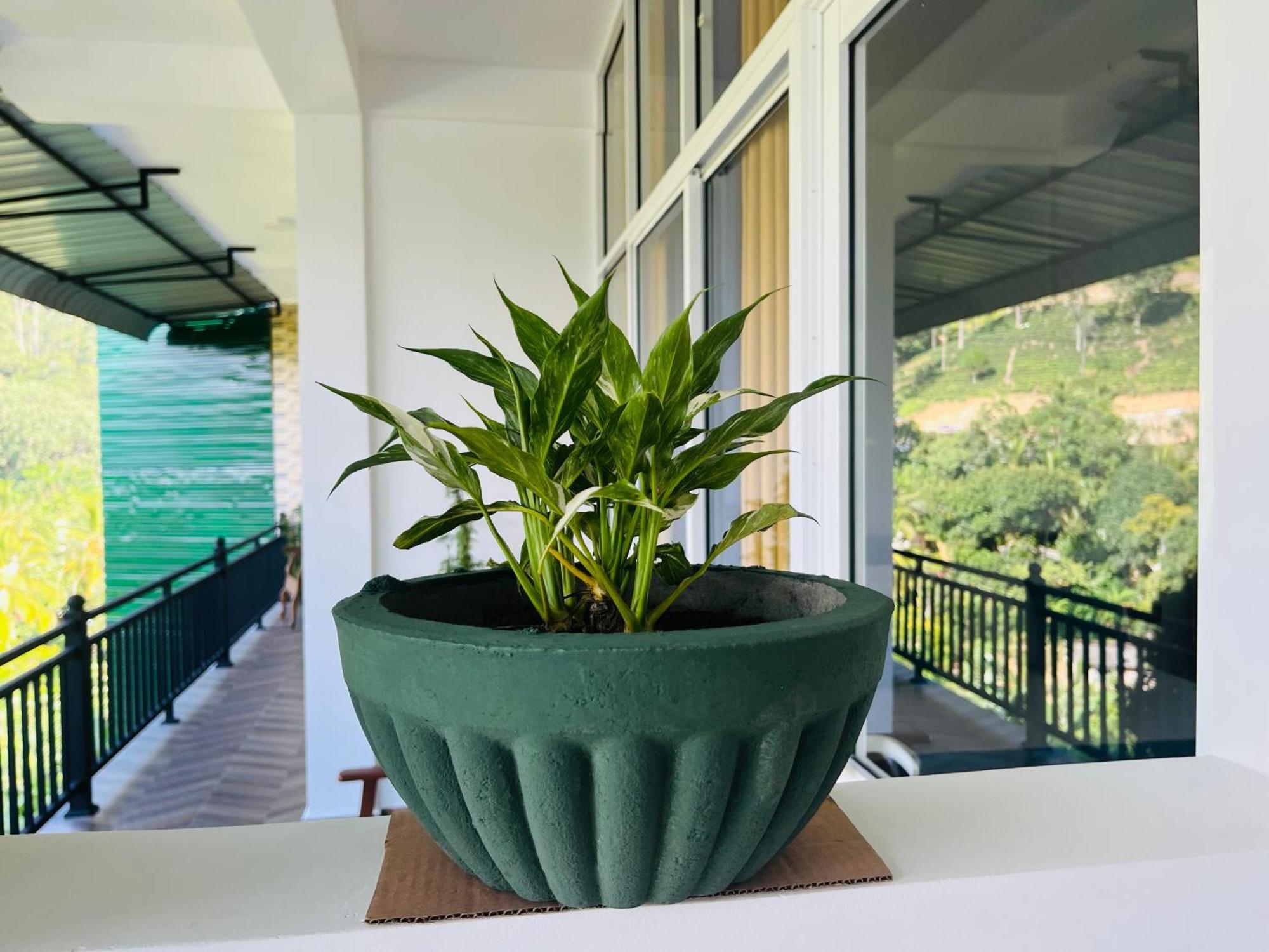 Viyanga Homestay Ella Exterior photo